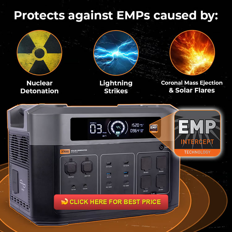 Grid Doctor 3300 w/EMP Intercept Review: The EMP-Proof Solar Generator System They Don’t Want You to Own