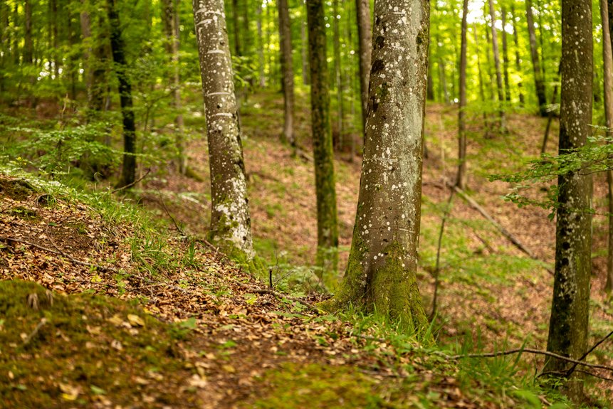 moss fusion male virility