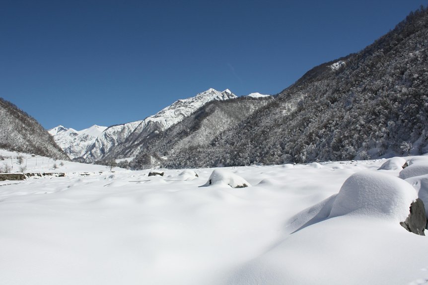 winter health supplement promotion