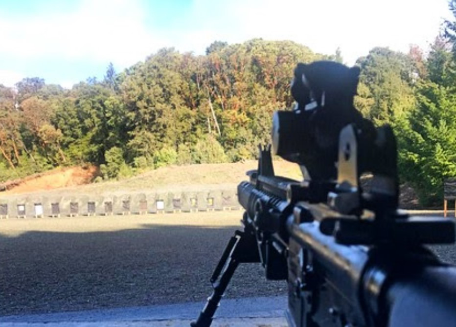 https://infowarsusa.com/reviews/mcgstinger/